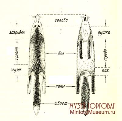 Что такое пушно меховые товары. Смотреть фото Что такое пушно меховые товары. Смотреть картинку Что такое пушно меховые товары. Картинка про Что такое пушно меховые товары. Фото Что такое пушно меховые товары